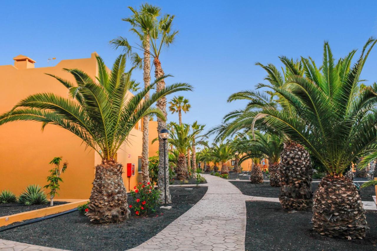 Appartement Apartamento Papagayo à Corralejo Extérieur photo
